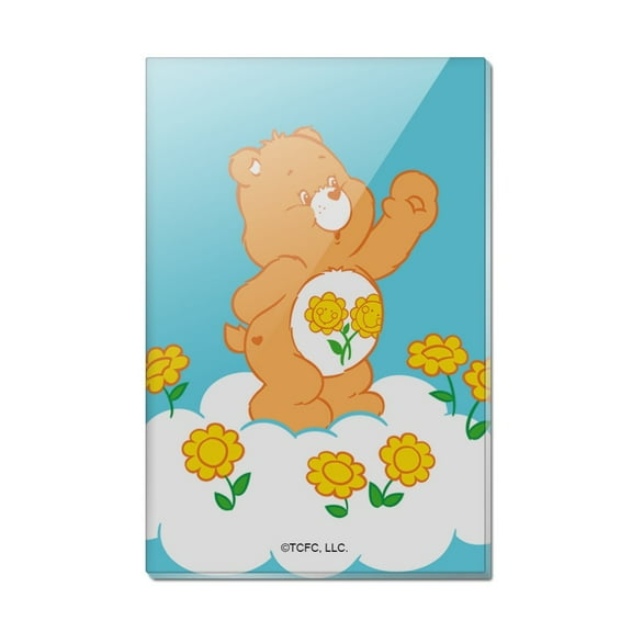 Care Bears Friend Bear Rectangle Acrylic Fridge Refrigerator Magnet