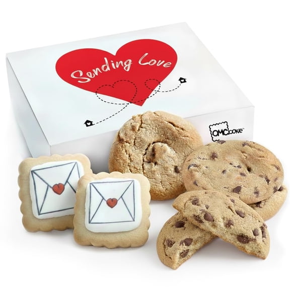 Care package Gift Basket Sending Love Hugs Cookie Chip Cookies For Men Women Kids | INDIVIDUALLY WRAPPED | Large Cookies | Get Well Soon Sympathy Miss You Thinking Of You Envelope Cookies A101