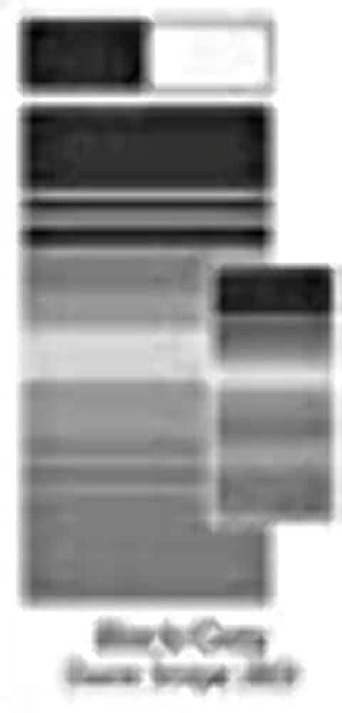 Carefree C6F-JU168D00 15 ft. 2 in. Black & Gray Dune Stripe White Weatherguard