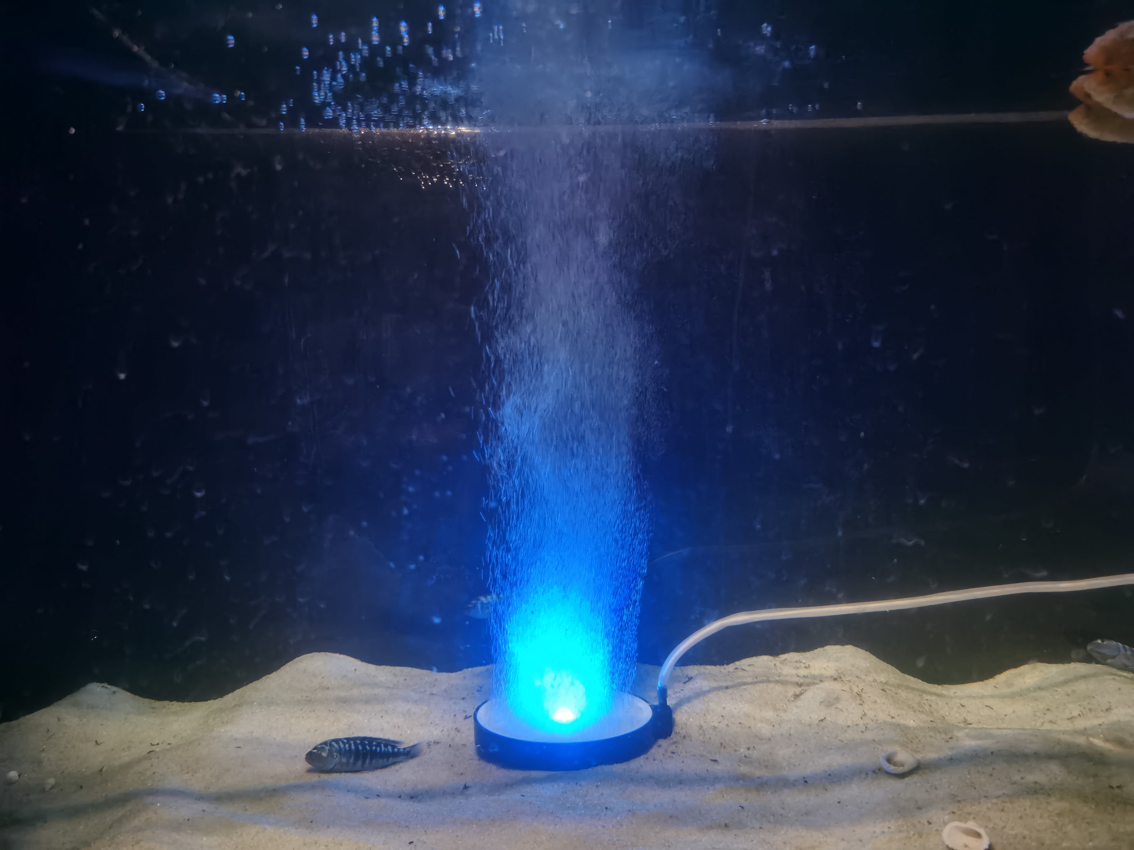 Carefree Fish Aquarium Air Stone Nano Bubbler LED Fish Tank Power