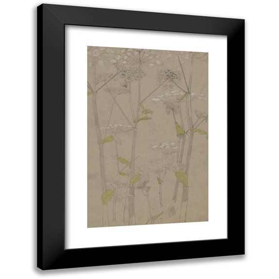 Carel Adolph Lion Cachet 13x18 Black Modern Framed Museum Art Print Titled - Planten Study (1874)