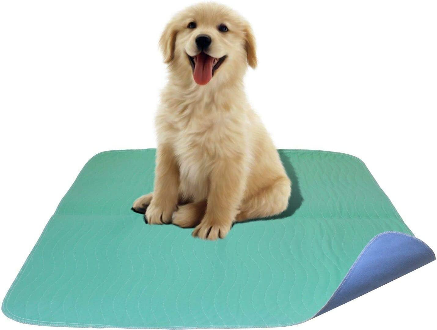 Careoutfit 2 Pack - Premium Waterproof Reusable/Quilted Washable Large Dog/Puppy Training Travel Pee Pads - Size 34 x 36
