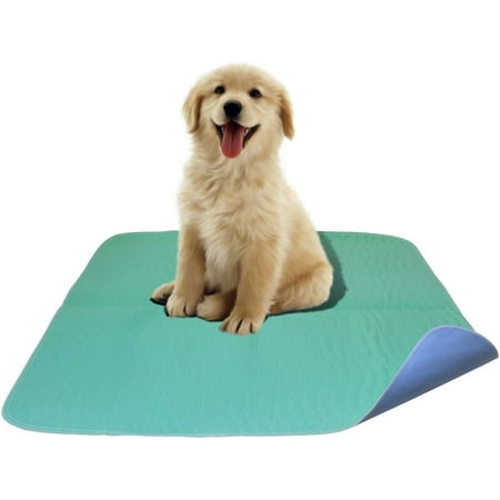 Careoutfit 2 Pack - Premium Waterproof Reusable/Quilted Washable Large Dog/Puppy Training Travel Pee Pads - Size 34 x 36