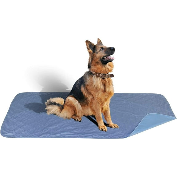 Careoutfit 36 x 72 - XXL Big Size Premium Stain Resistant Quick Absorbent Waterproof Reusable/Quilted Washable Large Dog/Puppy Training Travel Pee Pads