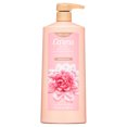 Caress Body Wash with Pump Daily Silk 25.4 oz