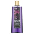 thumbnail image 1 of Caress Moisturizing Body Wash Black Orchid & Patchouli Oil 18 fl. Oz., 1 of 6