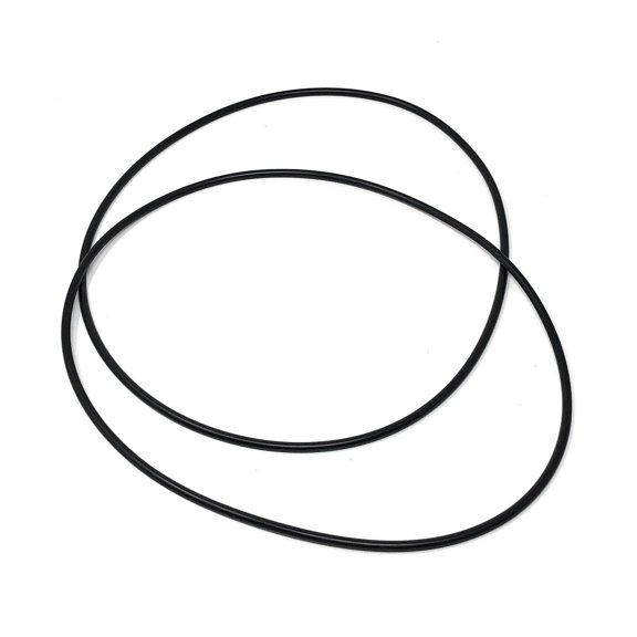 Caretaker 5-Port Valve Base O-Ring Kit (2 Large)