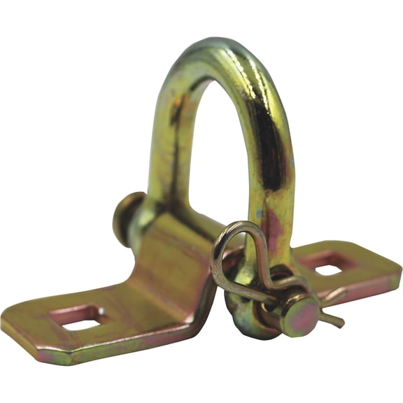 CargoSmart Removable D-Ring, 5000-Lb. Capacity, 3/8in., Model# 6556