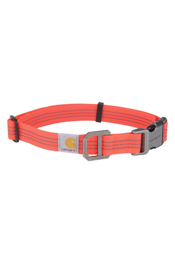 Fully Adjustable Nylon Webbing Collars for Dogs, Reflective Stitching for Visibility, Coral Glow (Nylon Webbing), Large Coral Glow (Nylon Webbing)