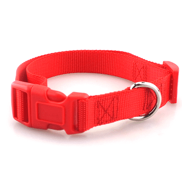 Carhartt Pet Fully Adjustable Webbing Collars for Dogs, Reflective Stitching for Visibility