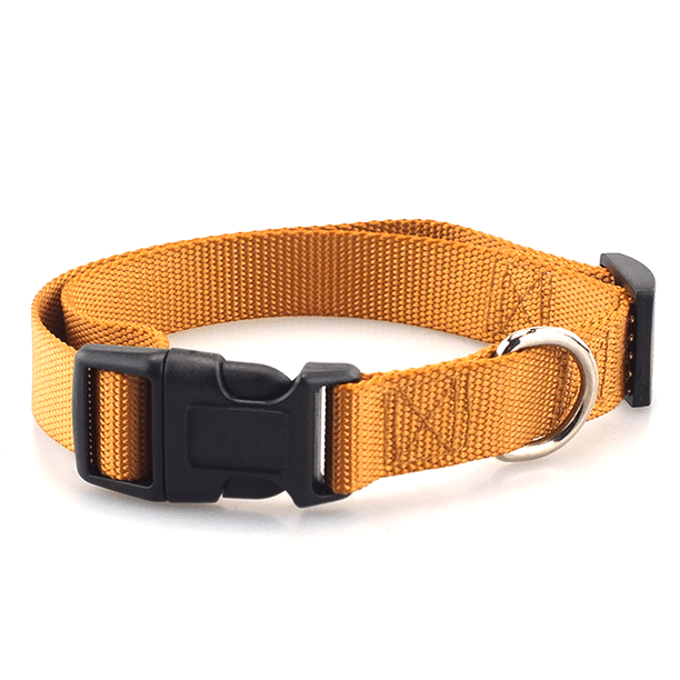 Carhartt Pet Fully Adjustable bing Collars for Dogs, Reflective Stitching for Visibility