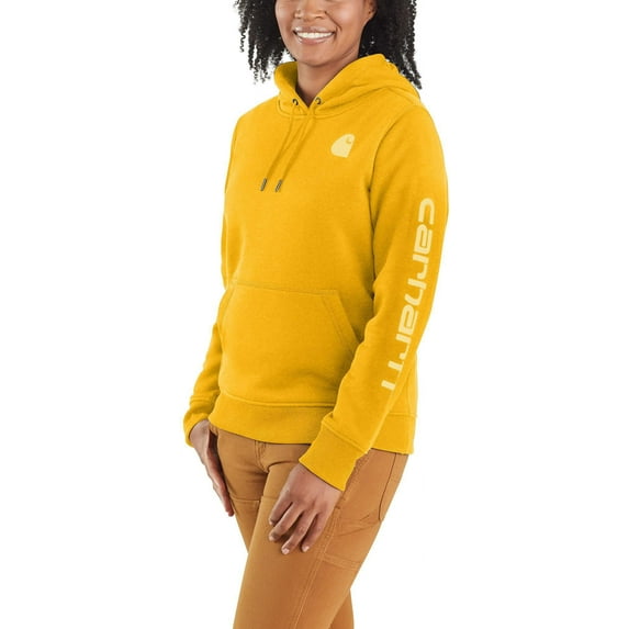 Carhartt Women's Clarksburg Graphic Sleeve Hoodie (Honeycomb Heather, M)