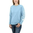 thumbnail image 1 of Carhartt mens T-shirt Plus Sizes K231 Workwear Logo Long Sleeve T Shirt Regular Sizes , Powder Blue, 2X US, 1 of 2