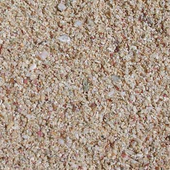 Carib Sea Arag-Alive! Special Grade Reef for Fish 40 Lbs