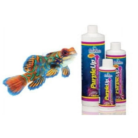 Carib Sea® Purpleup™ Coralline Algae Growth Supplement for Fish 16 Oz