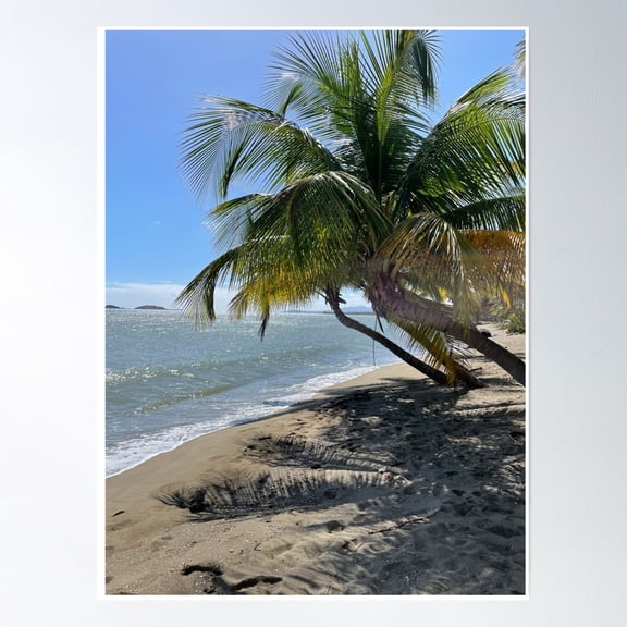 Caribbean Life Hot Day At The Beach Palm Trees Sands Beach Waves And Seascapes Coastal Photography- Vintage Wall Arttrendy Retro Print Room Decor Wall Art, Poster Only
