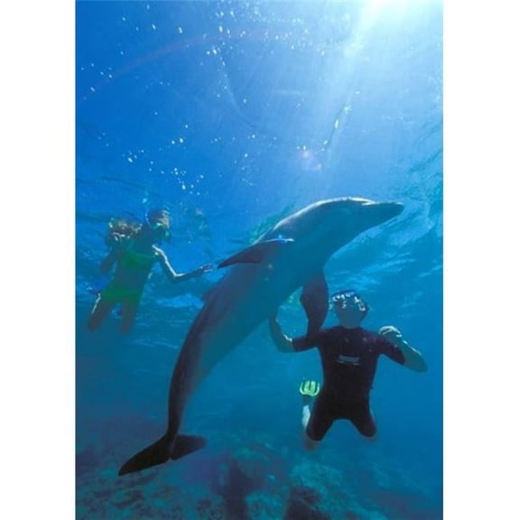 Caribbean Sea Curacao Poster Print by Michele Westmorland - 18 x 25 in.