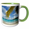 thumbnail image 1 of 3drose, Caribbean, Usvi, St.thomas, Magens Bay-ca37 Cmi0009 - Cindy Miller Hopkins, 11oz Two-tone Green Mug, 1 of 6