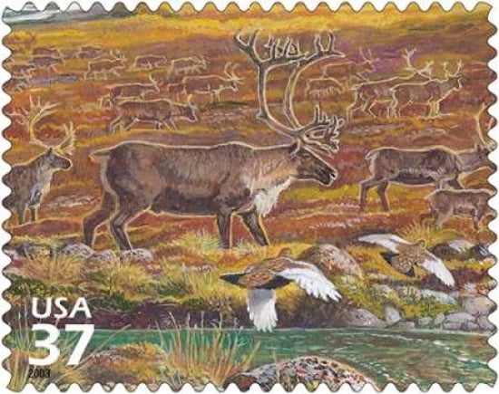 Caribou Canvas Art - US POSTAL SERVICE (24 x 30)