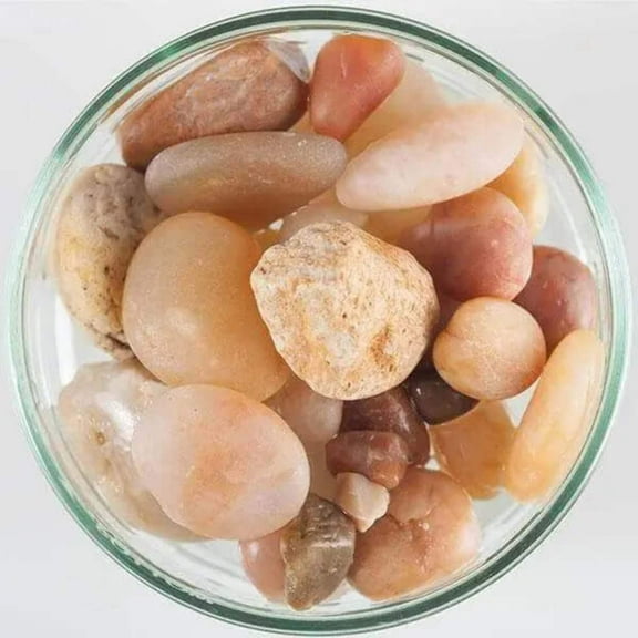 Caribsea CaribSea Super Naturals Jelly Beans Aquarium Gravel, 5Each/5 lb (Count of 5)