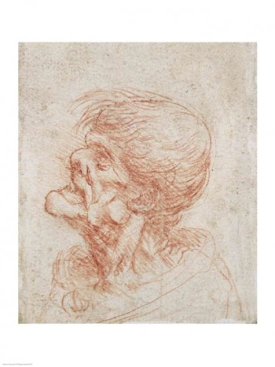 Caricature Head Study of an Old Man Canvas Art - Leonardo Da Vinci (24 x 36)