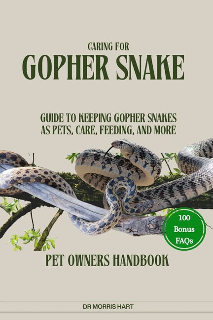 Caring for Gopher Snake: Guide to Keeping Gopher Snakes as Pets, Care ...