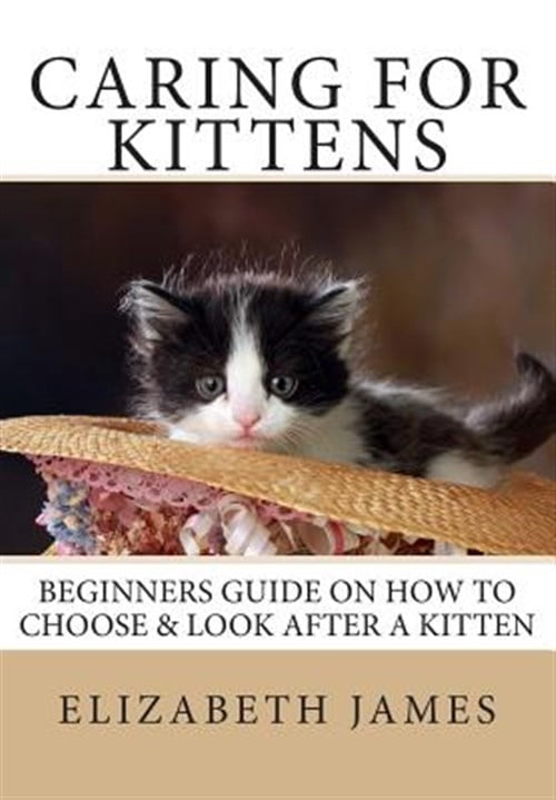 Caring for Kittens : Beginners Guide on How to Look After a Kitten ...