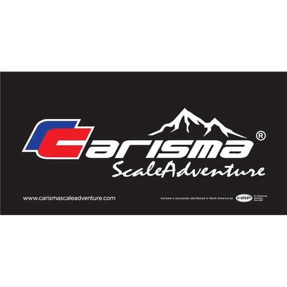 Carisma CISBANNER 24 x 48 in. Carisma Banner