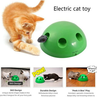 Pets Know Best Pop N' Play Peek-A-Boo Cat Toy, Green