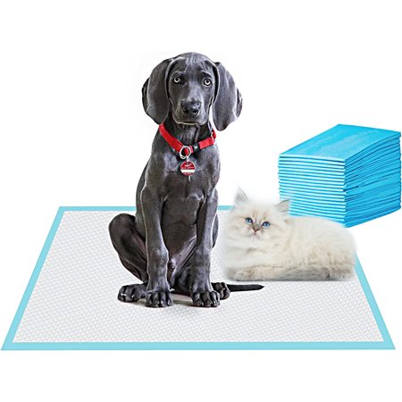 Carkira Dog Training Pads, 23.6" x 35.4" Pet Peeing Pads, Dog Potty Pads, Disposable Dog Pee Pads xL (20 Pieces), For Extra Large Dogs, Medium Dogs