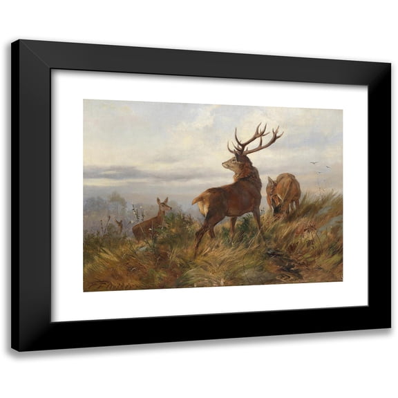 Carl Friedrich Deiker 14x11 Black Modern Framed Museum Art Print Titled - Red Deer at Dawn