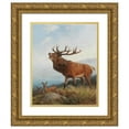 thumbnail image 1 of Carl Friedrich Deiker 20x24 Gold Ornate Framed and Double Matted Museum Art Print Titled - A Bellowing Stag, 1 of 4