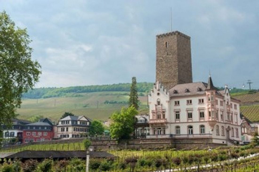 Carl Jung Vineyard Boosenburg Castle Canvas Art - Jim Engelbrecht DanitaDelimont (36 x 24)