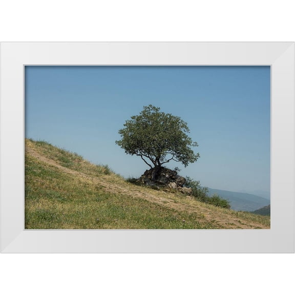 Carlier, Dick 14x11 White Modern Wood Framed Museum Art Print Titled - Tree On Hill