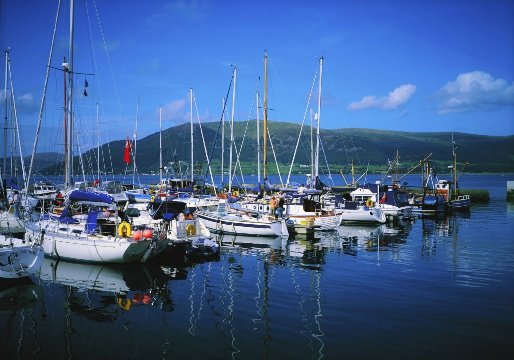 Carlingford Yacht Marina Co Louth Ireland Boats Docked At A Marina Canvas Art - The Irish Image Collection Design Pics (36 x 24)
