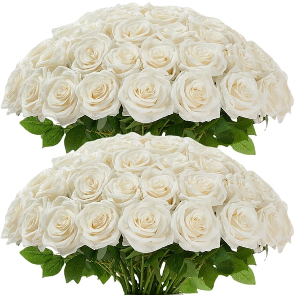 Carlitas Blooms 50pcs Ivory Roses Artificial Flowers Bulk Fake White Roses Silk Flower with Stems Realistic Flowers for Wedding Centerpiece Party Birthday Decor Y101