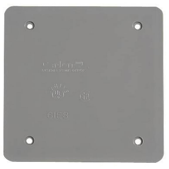 Thomas & Betts E9802CN-CAR PVC 2 Gang Blank Box Cover