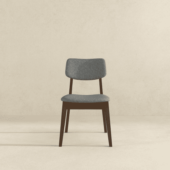 Carlos Dark Grey Fabric Solid Back Side Chair (Set Of 2)
