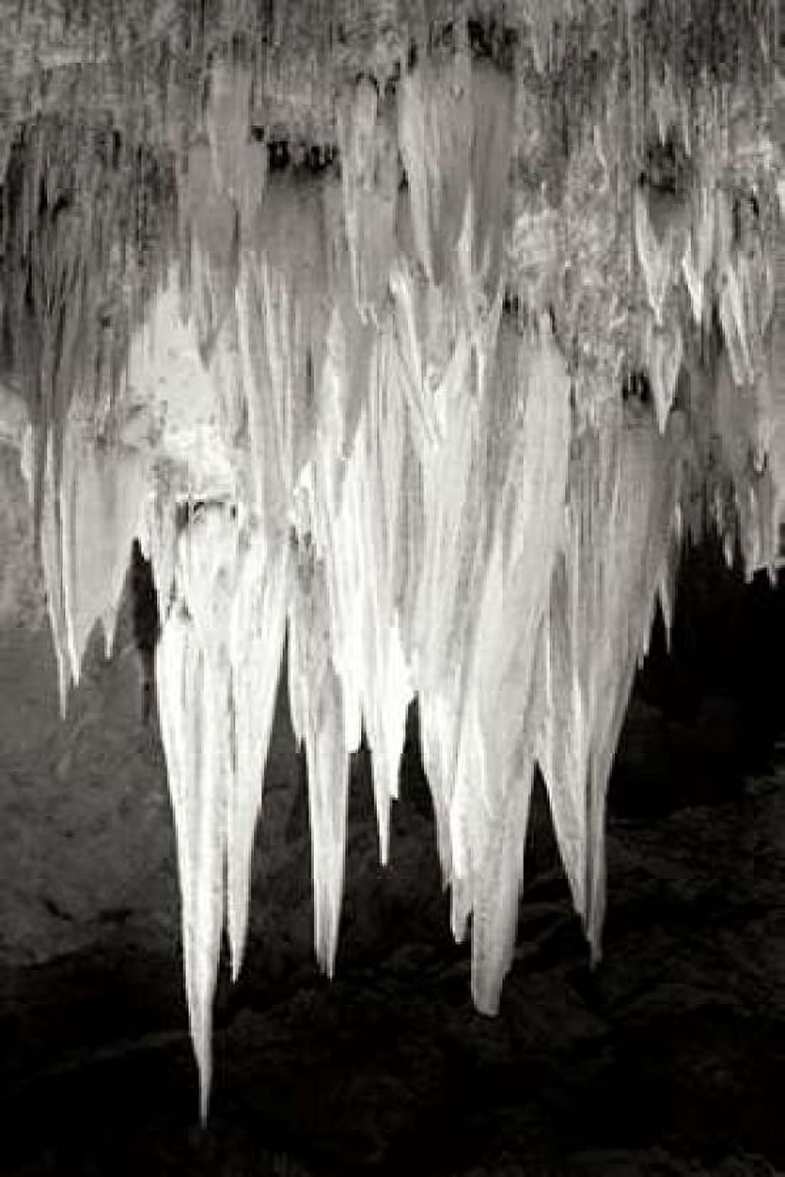 Carlsbad Cavern I BW Canvas Art - Douglas Taylor (12 x 18)