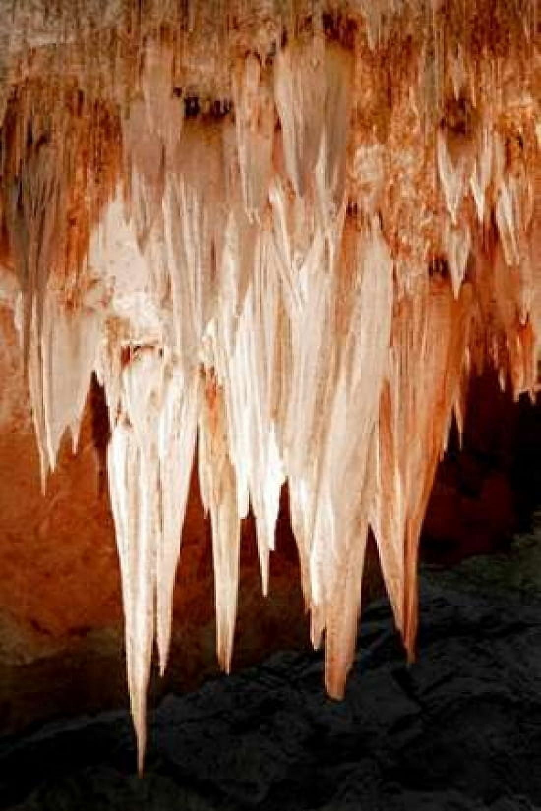 Carlsbad Cavern I Canvas Art - Douglas Taylor (12 x 18)