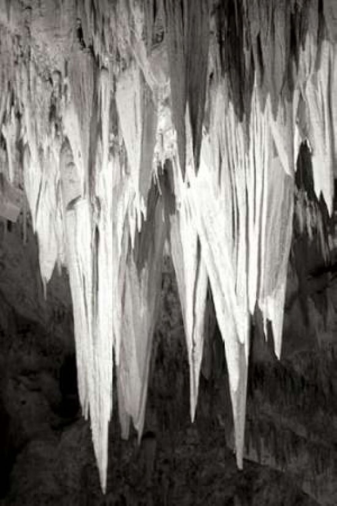 Carlsbad Cavern II BW Canvas Art - Douglas Taylor (12 x 18)