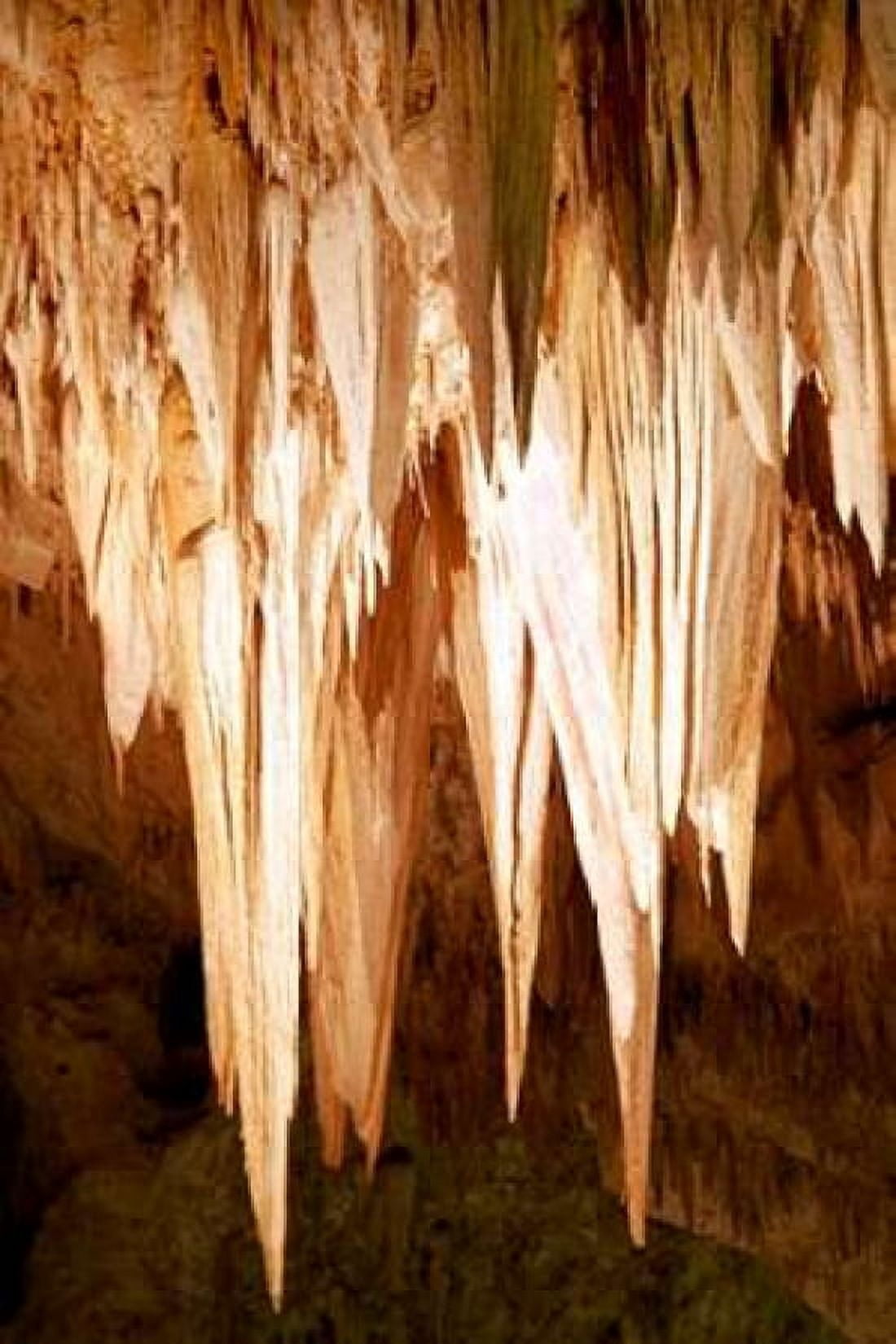Carlsbad Cavern II Canvas Art - Douglas Taylor (12 x 18)