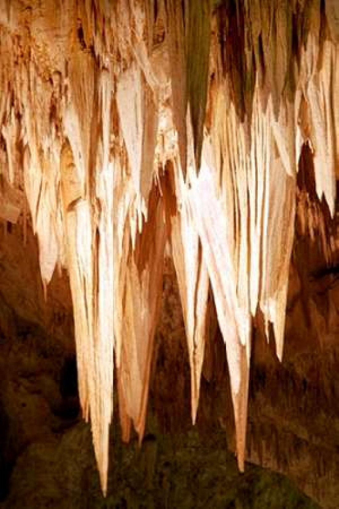 Carlsbad Cavern II Canvas Art - Douglas Taylor (24 x 36)