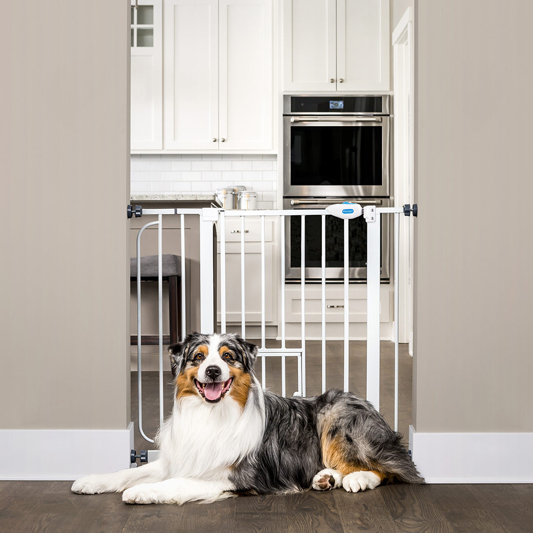 Carlson Extra Wide Walk Through Pet Gate with Small Pet Door, Pressure Mount Kit Included, Stands 30" Tall & Extends 29"-36.5" Wide - image 1 of 5