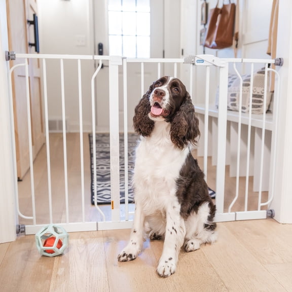 Carlson White Metal Walk-Thru Pet Gate with Lift Handle and Pet Door, 30" H x 29"-51" W