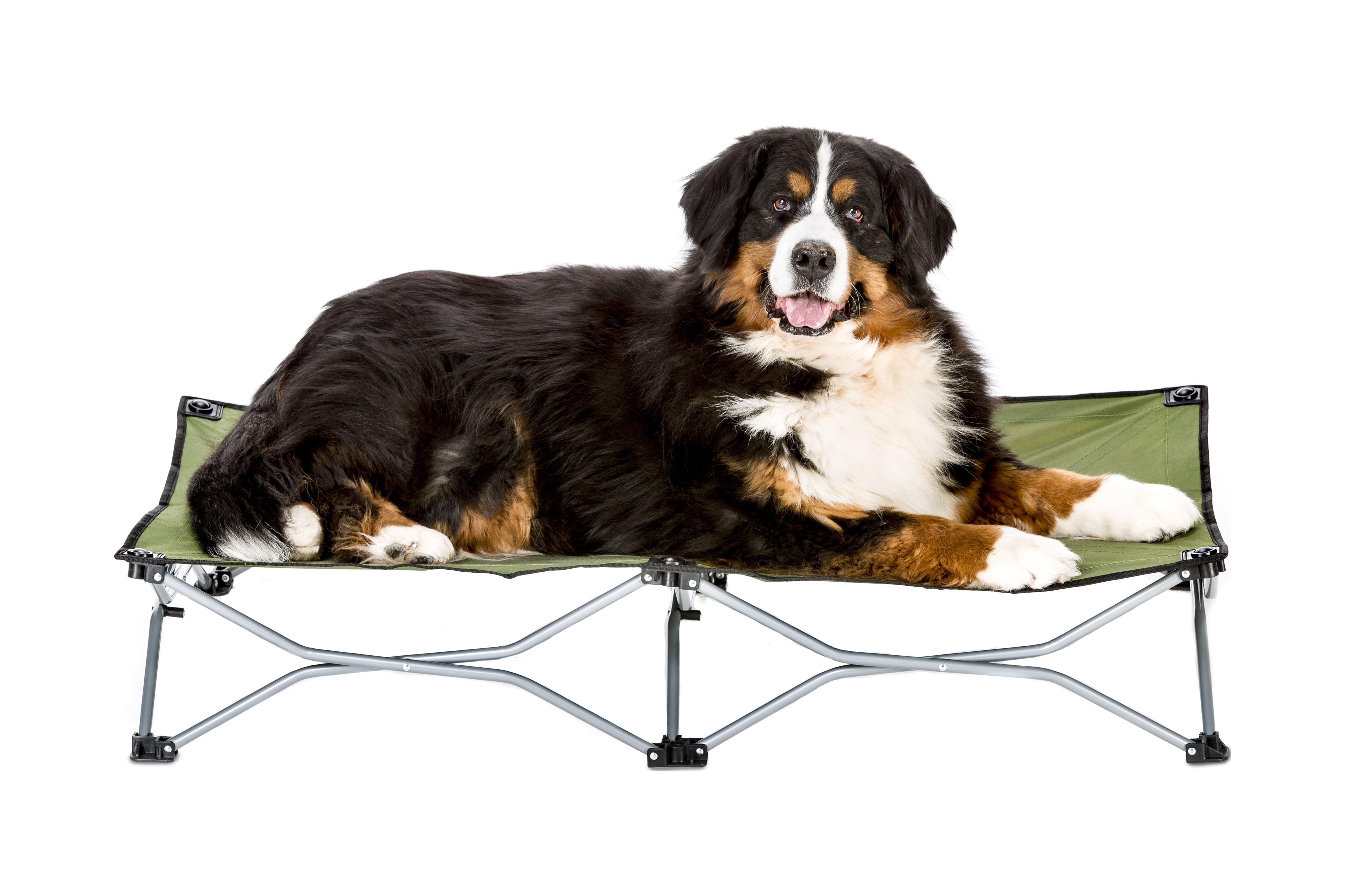 Carlson Folding Elevated Dog Bed Green 48 L x 26 W x 9 H Walmart