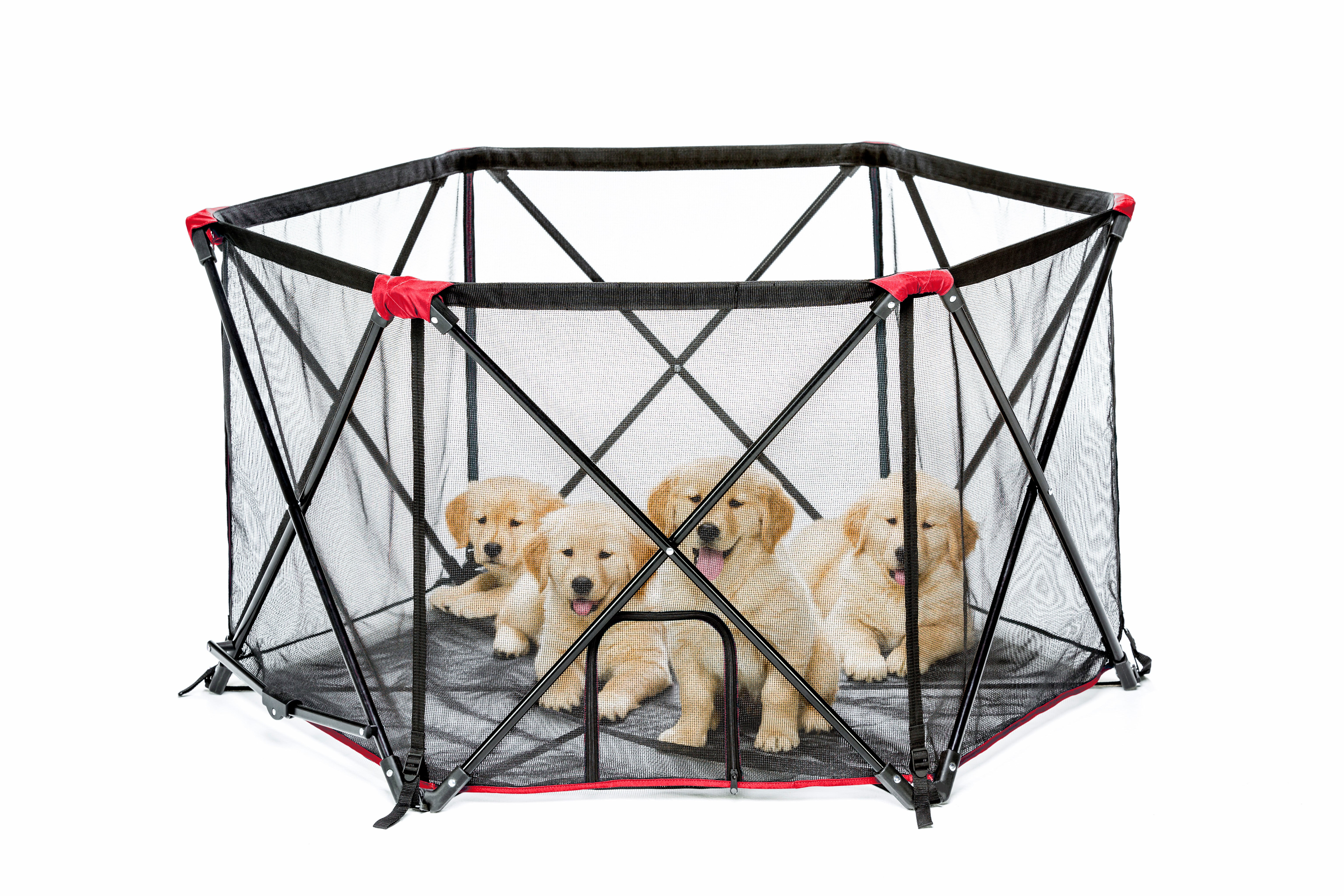 Carlson Red Six Panel Portable Pet Play Yard with Mesh