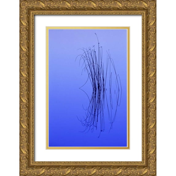 Carlson, Mark 13x18 Gold Ornate Wood Framed with Double Matting Museum Art Print Titled - MI, Cluster of soft rushes reflects in a lake