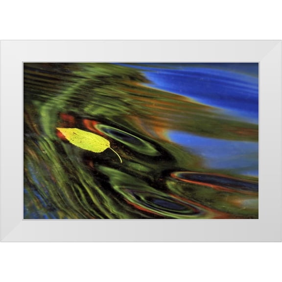 Carlson, Mark 14x11 White Modern Wood Framed Museum Art Print Titled - MI, Birch leaf in river with autumn reflections