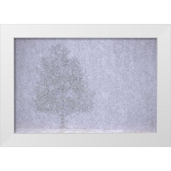 Carlson, Mark 14x11 White Modern Wood Framed Museum Art Print Titled - MI, White pine in a heavy snow squall